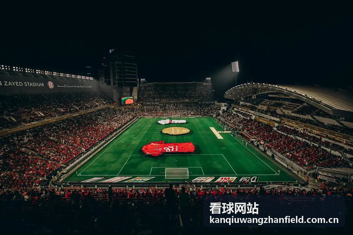 看球网站德国国家队